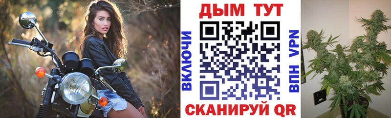 Шишки марихуана конопля  Дигора 
